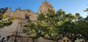 horarios de misa de Basílica Nuestra Señora del Socorro en Aspe