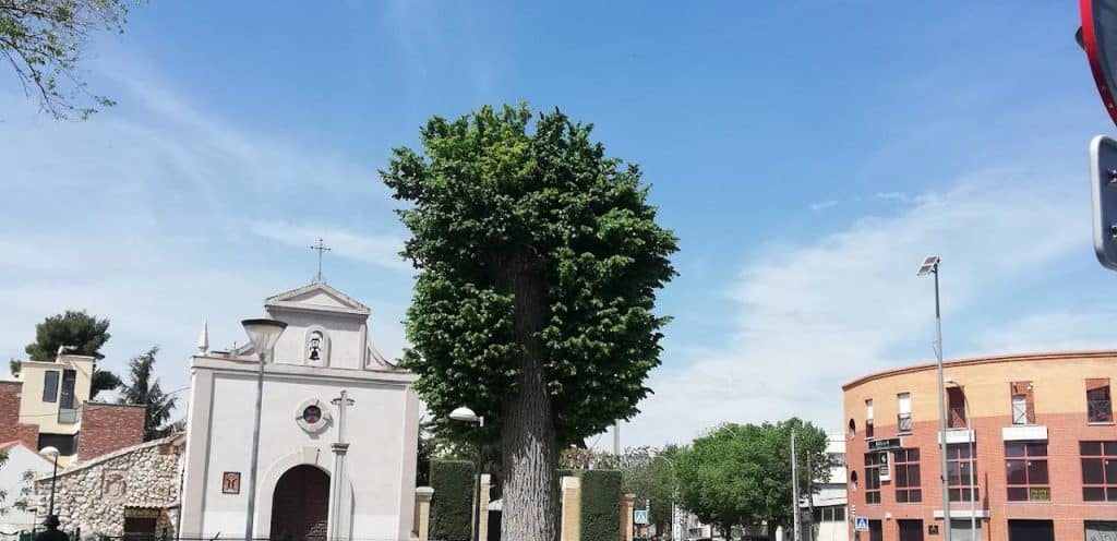 horarios de misa de Ermita del Cristo del Calvario en Pinto