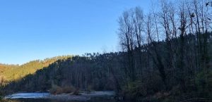 Oviedo 10 horarios de misa de Iglesia San Juan Bautista de Caces en Oviedo