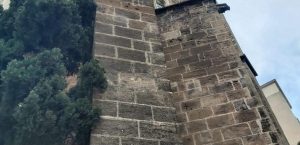 horarios de misa de Iglesia de San Alonso Rodríguez de Ciudad en Palma