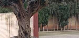 horarios de misa de Iglesia de San Juan Bautista en Tudela