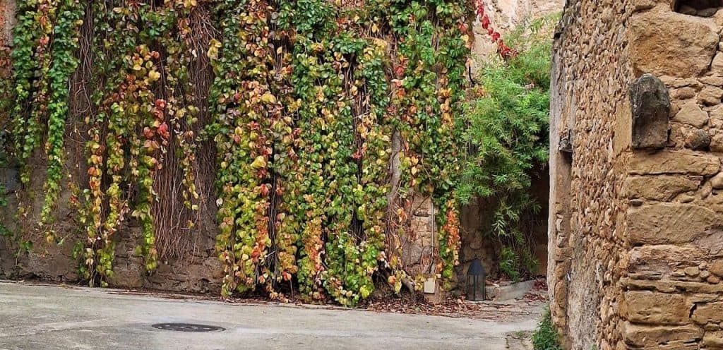 horarios de misa de Iglesia de Sant Julián de Galliners en Vilademuls