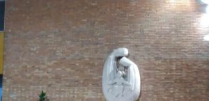 horarios de misa de Parroquia Sagrada Familia en Lérida