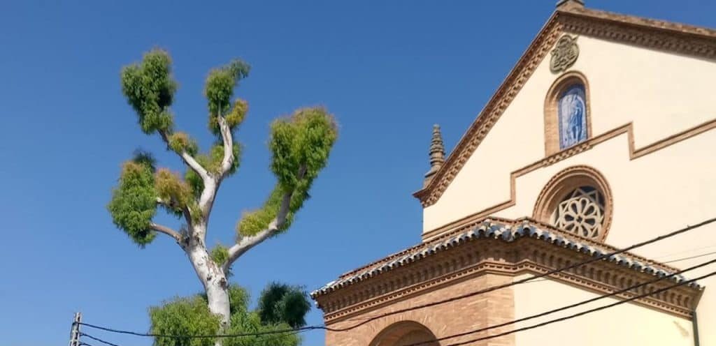 horarios de misa de Parroquia San Juan Bautista en San Juan de Aznalfarache