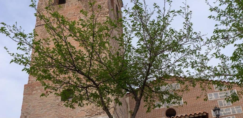 Parroquia San Juan Bautista 1 horarios de misa de Parroquia San Juan Bautista en Ugena