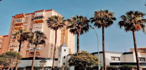 horarios de misa de Parroquia San Juan de Ávila en Jerez de la Frontera