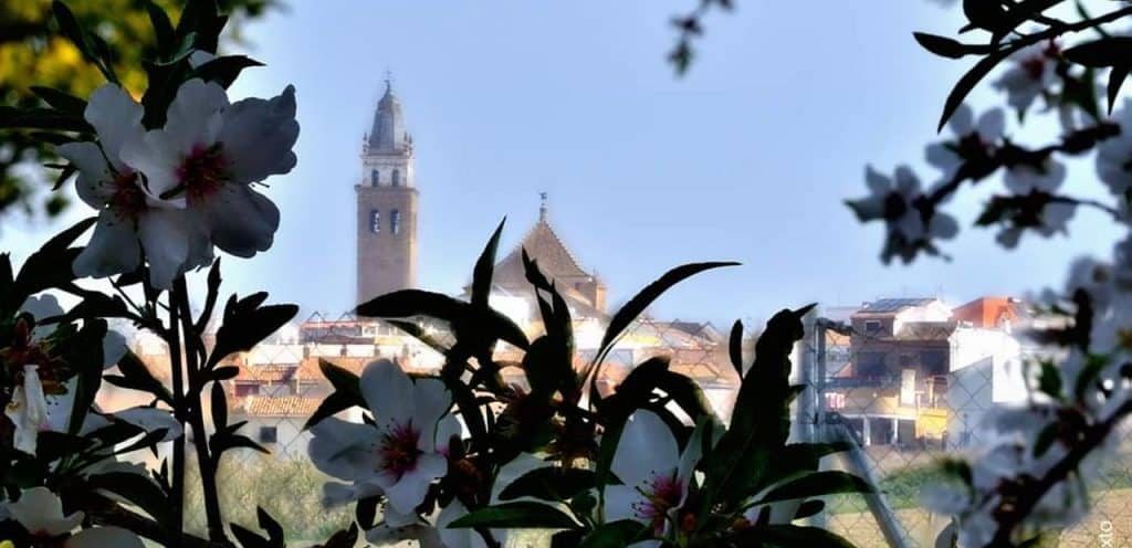 horarios de misa de Parroquia Santa María de la Oliva de Salteras en Salteras