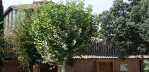 Algete 2 horarios de misa de Parroquia Santo Domingo de la Calzada en Algete