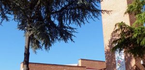 horarios de misa de Parroquia de San Pascual Bailón en Guadalajara