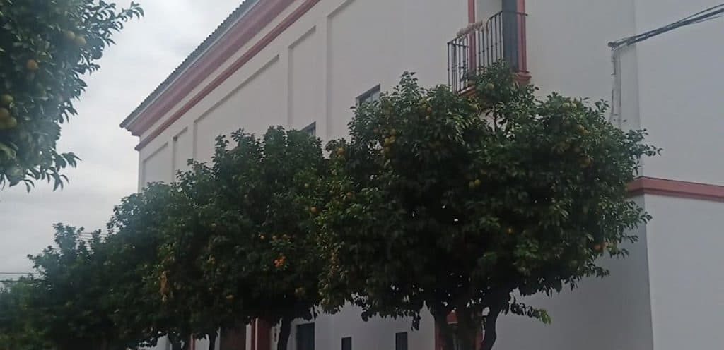 horarios de misa de Parroquia de San Sebastián en Lora del Río