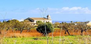 horarios de misa de Parròquia de la Inmaculada Concepción de Establiments en Palma