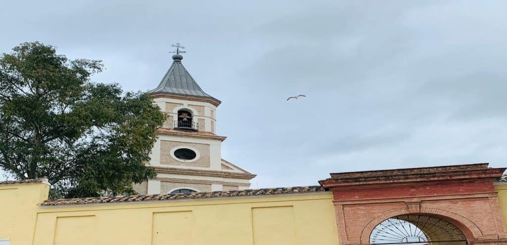 Horarios De Misas Parroquia De La Santísima Trinidad - 2026