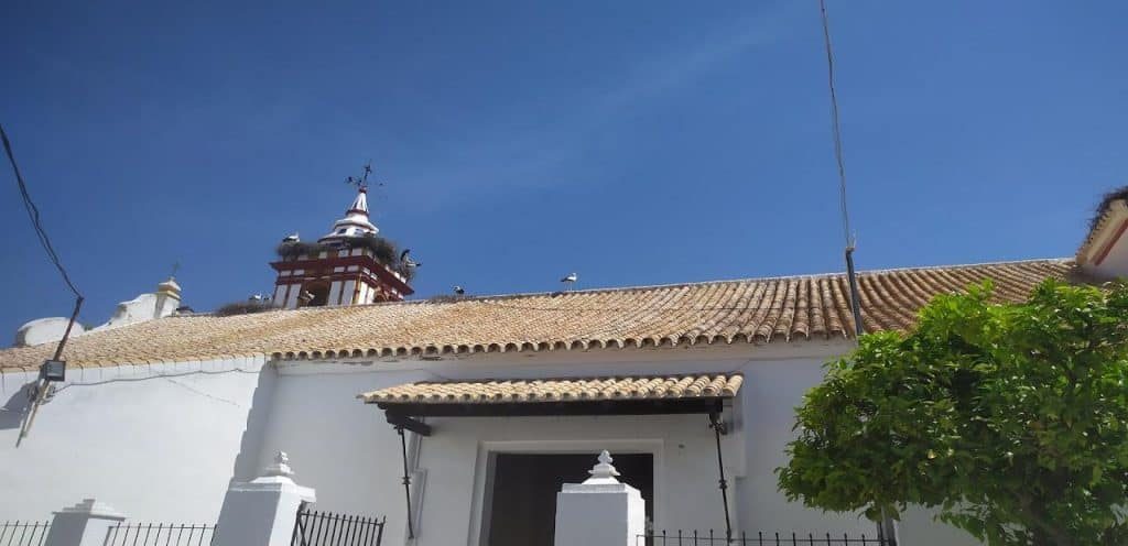 horarios de misa de Parroquia del Divino Salvador en Castilblanco de los Arroyos